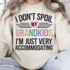 I Dont Spoil My Grandkid 1